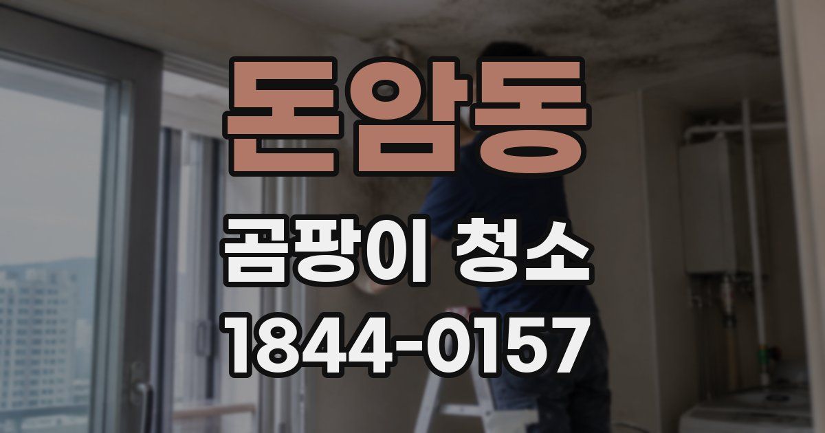 돈암동 곰팡이 청소