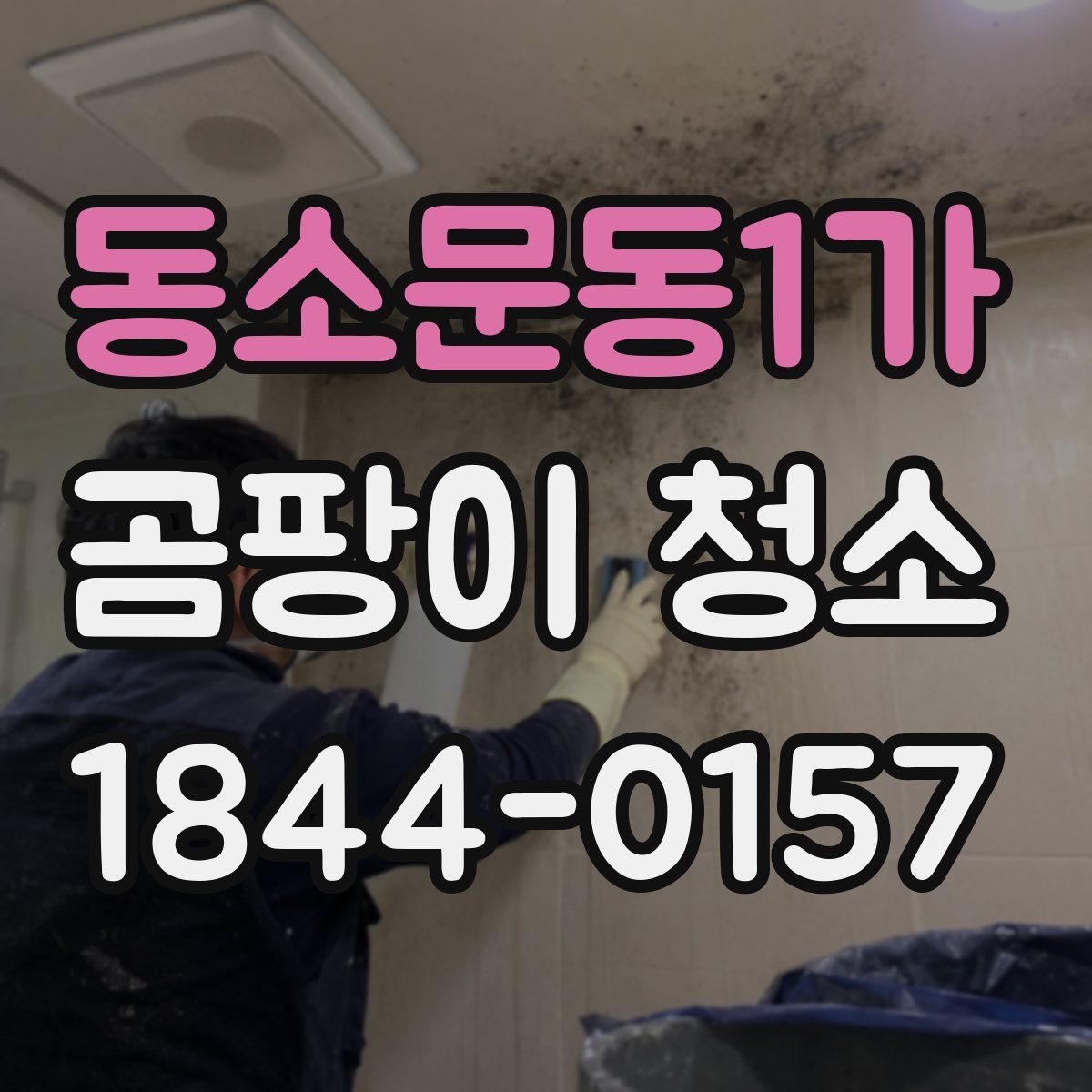 동소문동1가 곰팡이 청소