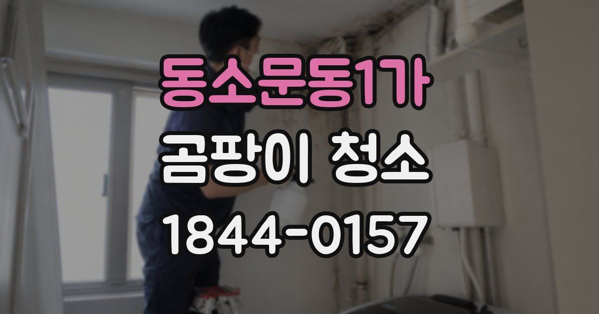 동소문동1가 곰팡이 청소