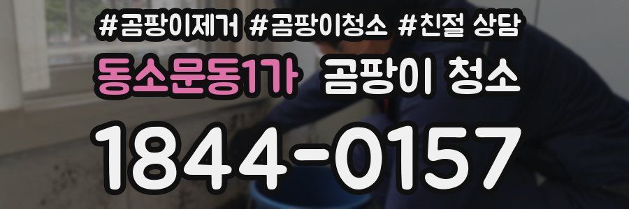 동소문동1가 곰팡이 청소