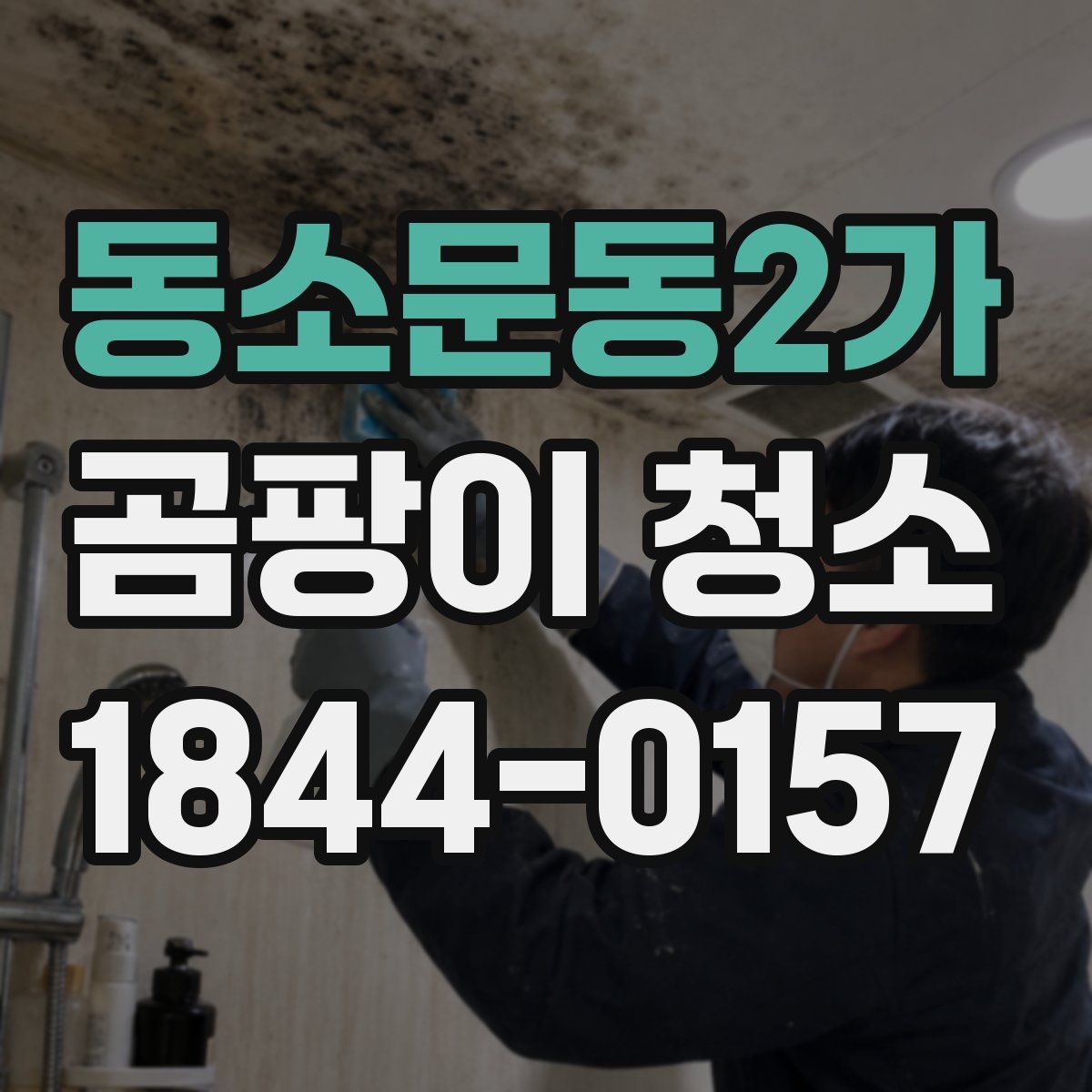 동소문동2가 곰팡이 청소