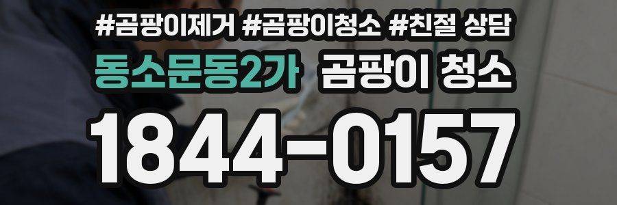동소문동2가 곰팡이 청소