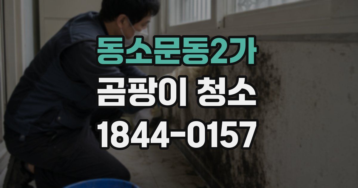 동소문동2가 곰팡이 청소