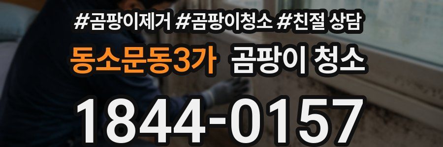 동소문동3가 곰팡이 청소