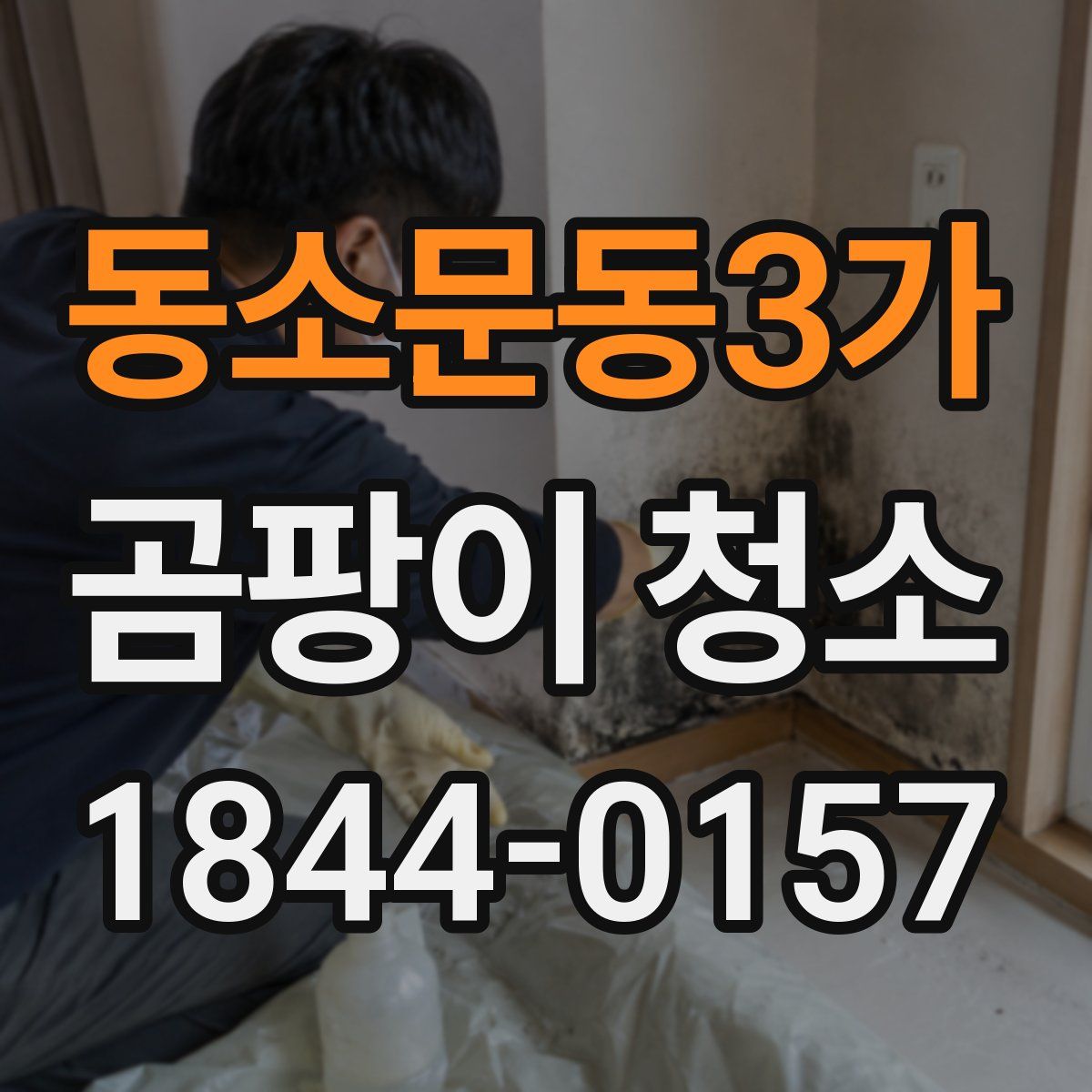 동소문동3가 곰팡이 청소