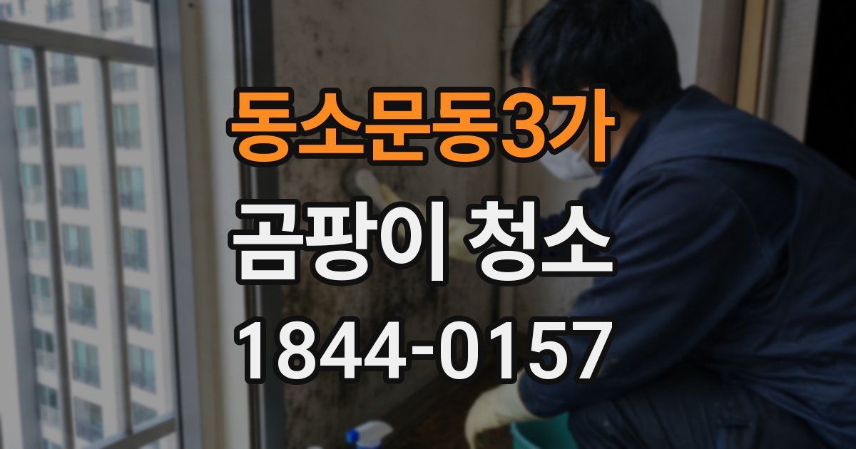 동소문동3가 곰팡이 청소