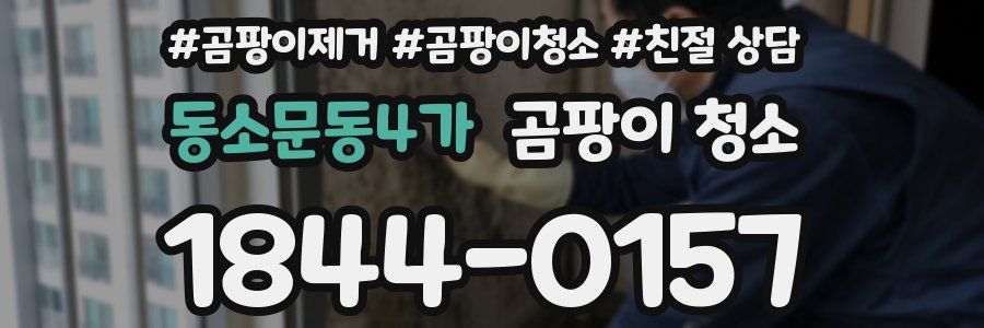 동소문동4가 곰팡이 청소