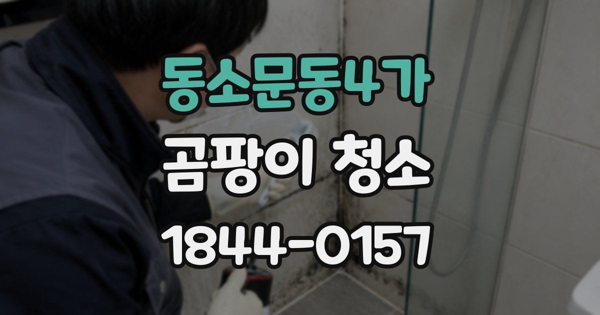 동소문동4가 곰팡이 청소