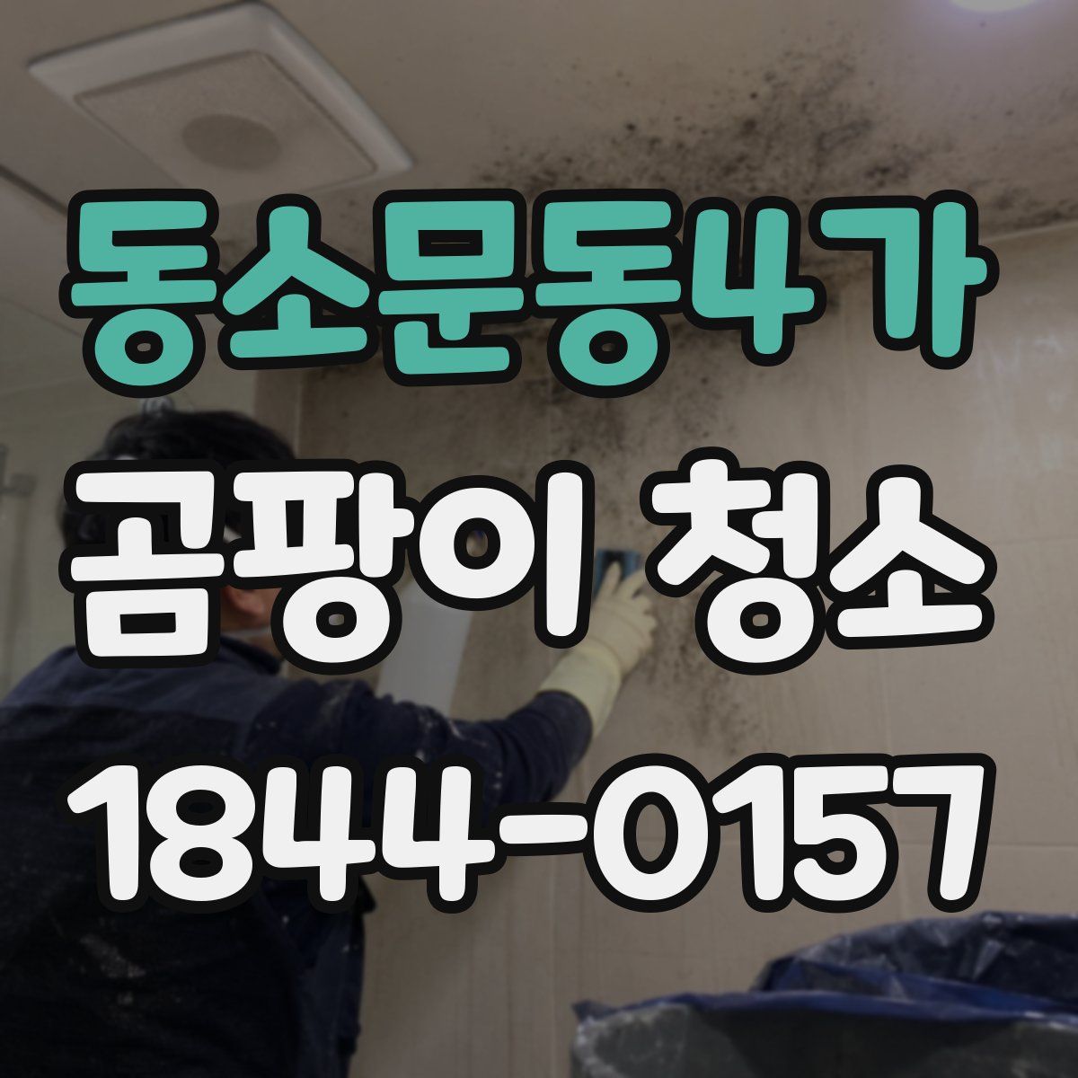 동소문동4가 곰팡이 청소