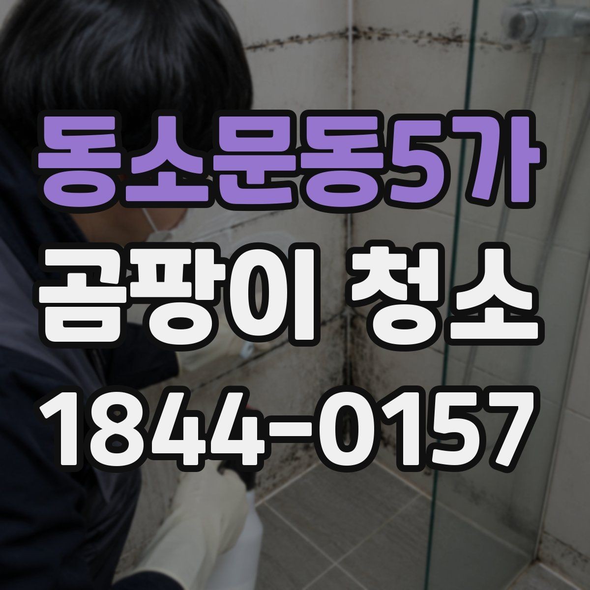 동소문동5가 곰팡이 청소 후 다시 번지지 않게 하는 방법