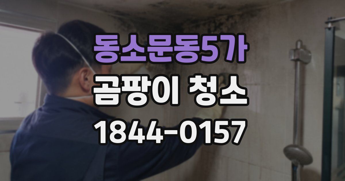 동소문동5가 곰팡이 청소