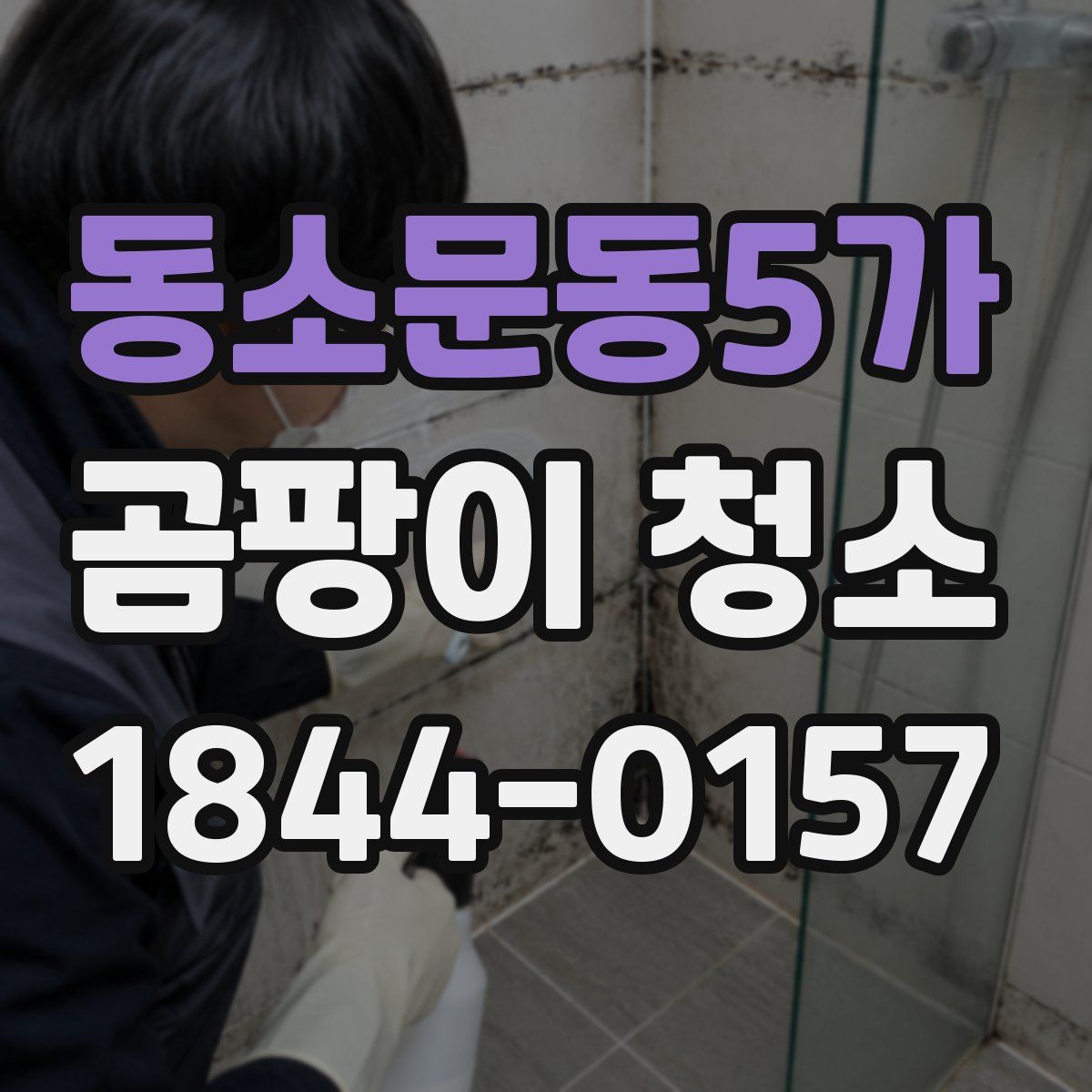 동소문동5가 곰팡이 청소