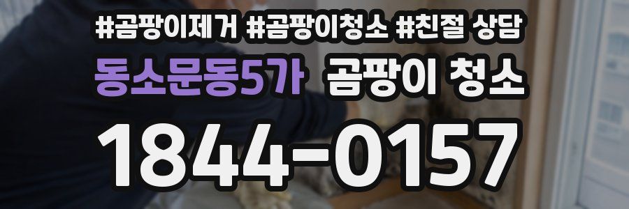 동소문동5가 곰팡이 청소