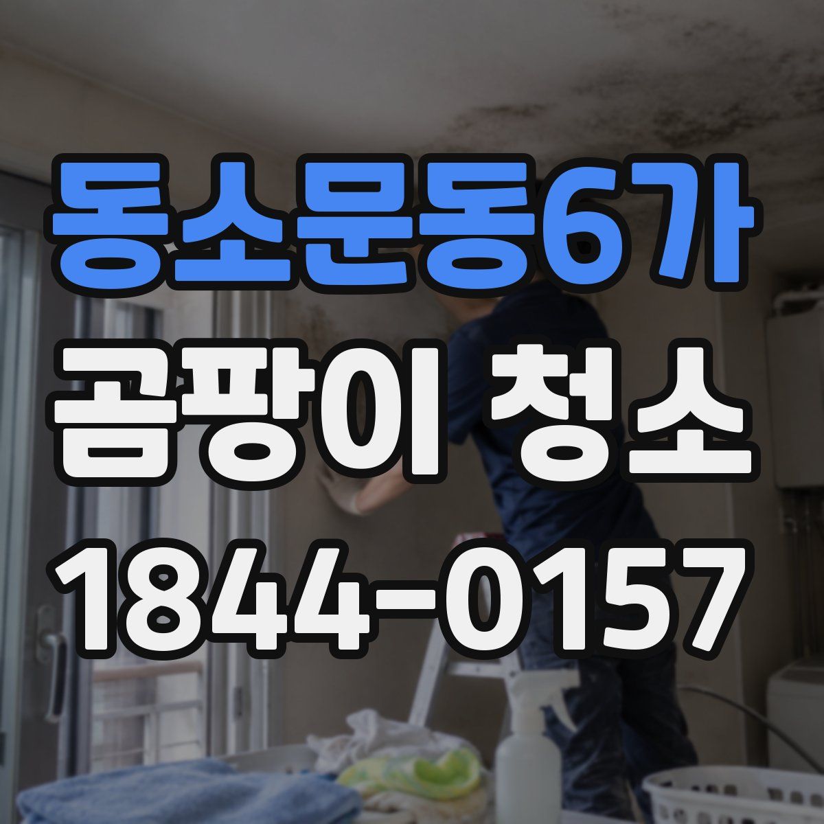 동소문동6가 곰팡이 청소