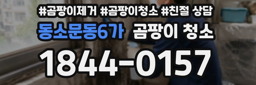 동소문동6가 곰팡이 청소