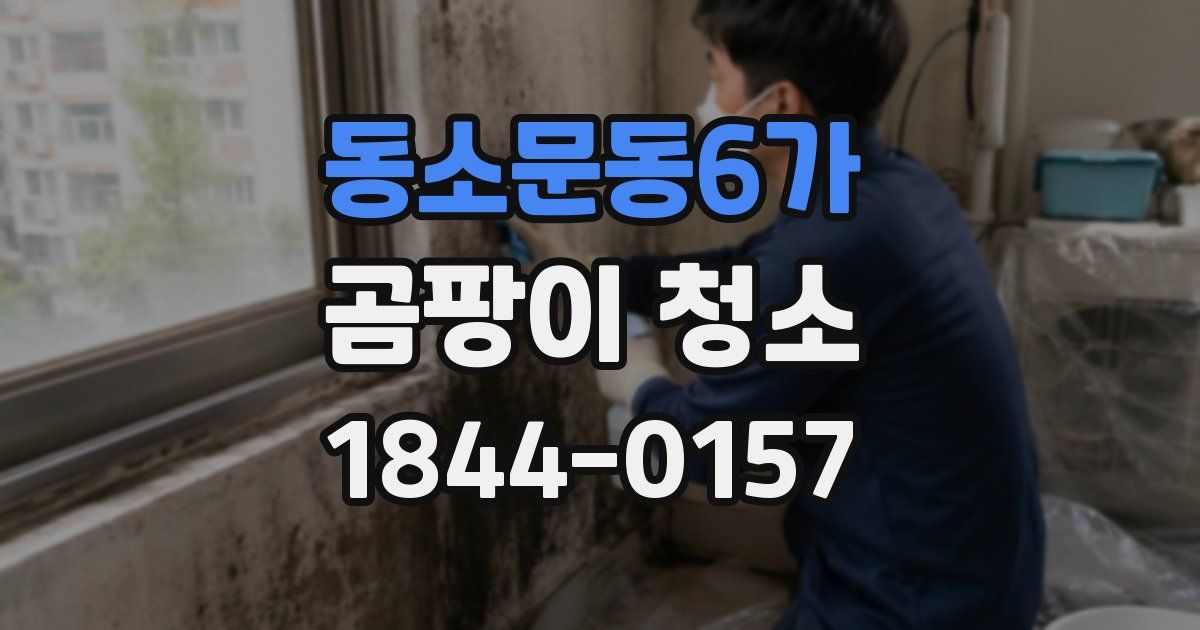 동소문동6가 곰팡이 청소