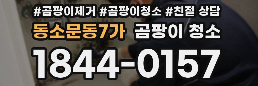 동소문동7가 곰팡이 청소