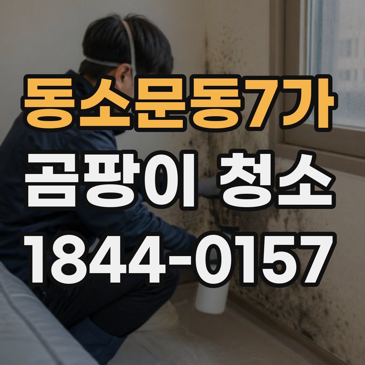 동소문동7가 곰팡이 청소
