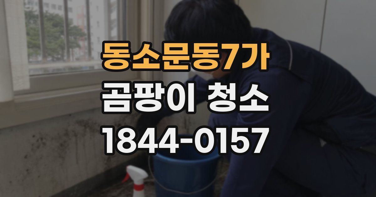 동소문동7가 곰팡이 청소