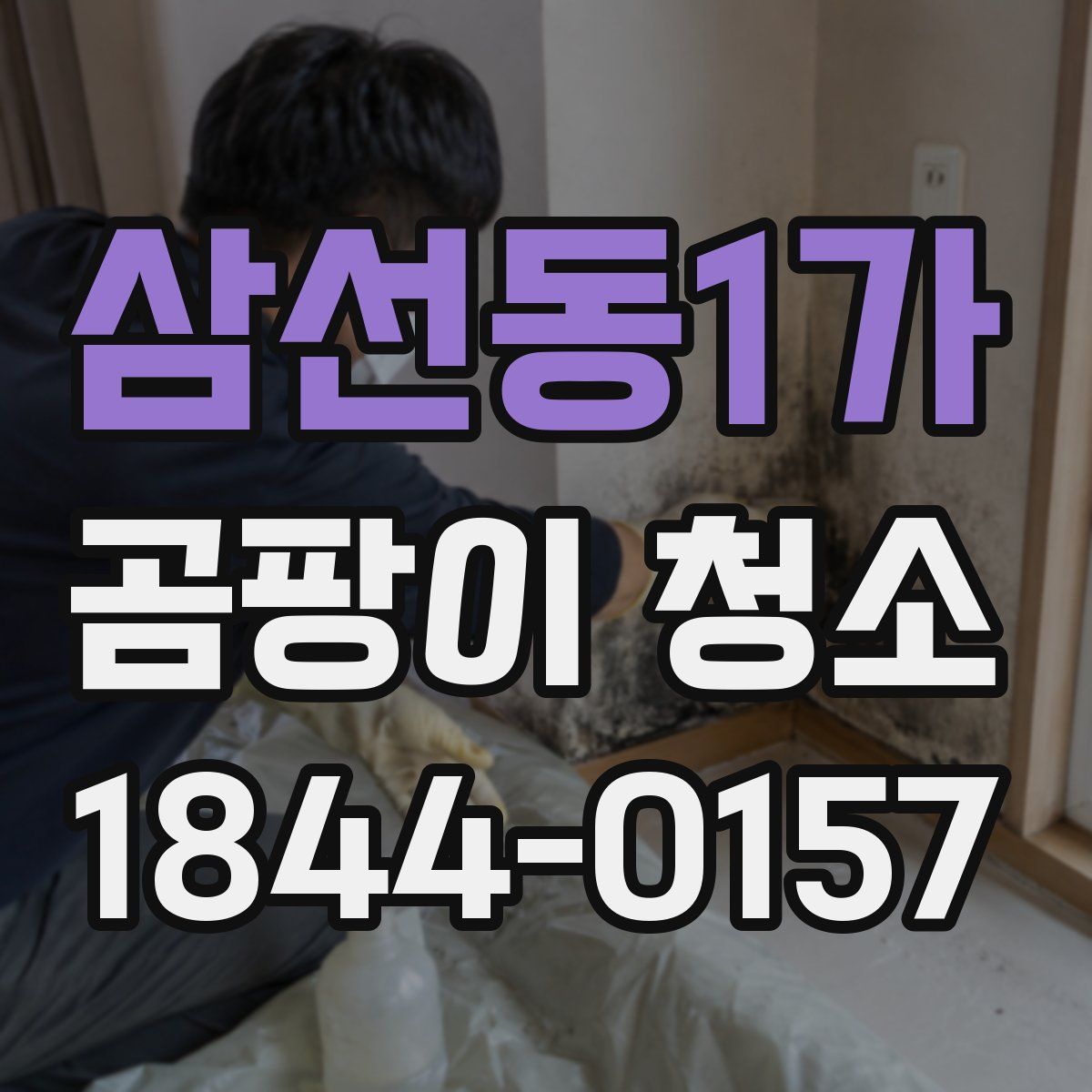 삼선동1가 곰팡이 청소