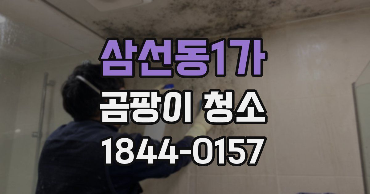 삼선동1가 곰팡이 청소