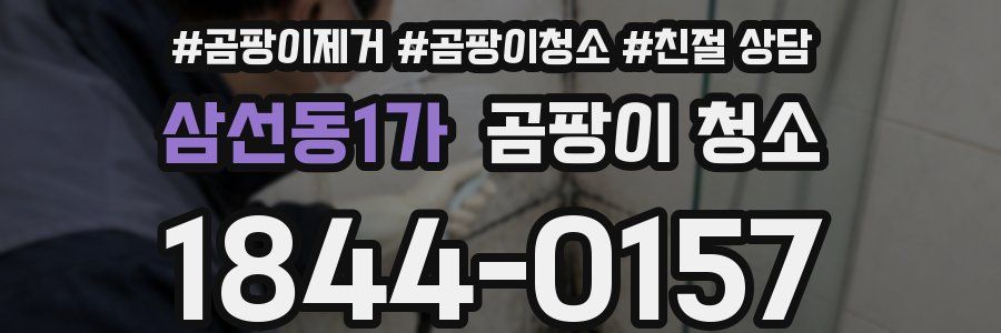 삼선동1가 곰팡이 청소
