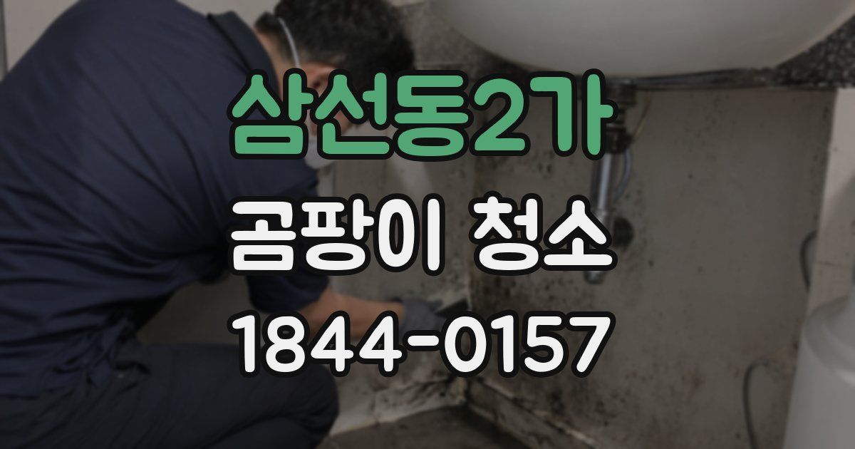 삼선동2가 곰팡이 청소
