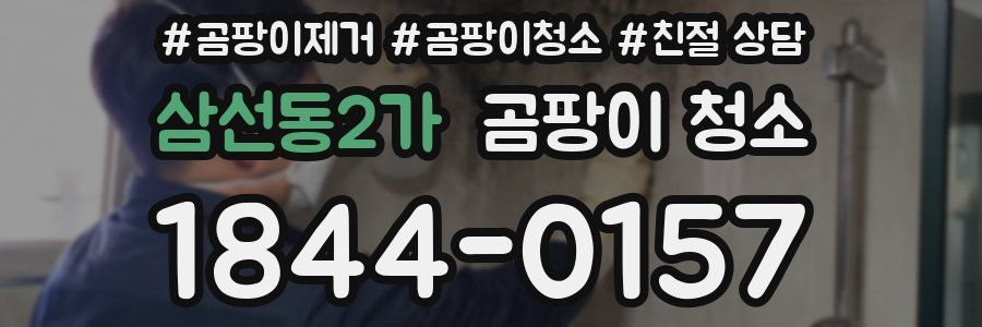 삼선동2가 곰팡이 청소