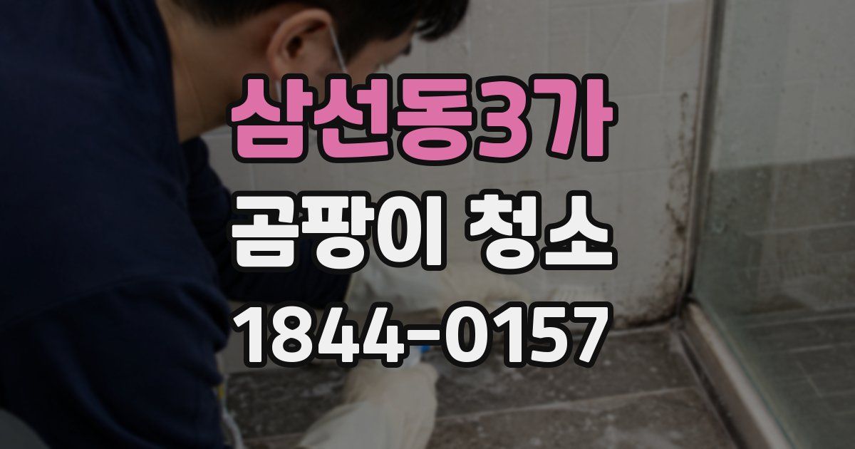 삼선동3가 곰팡이 청소
