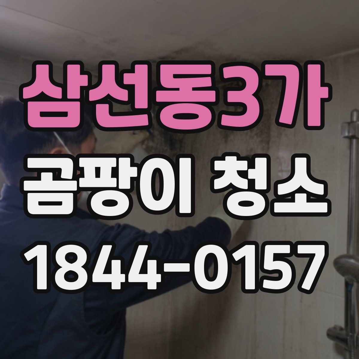 삼선동3가 곰팡이 청소