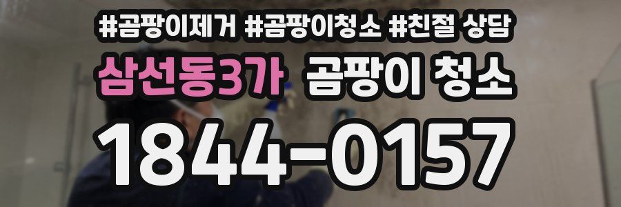 삼선동3가 곰팡이 청소