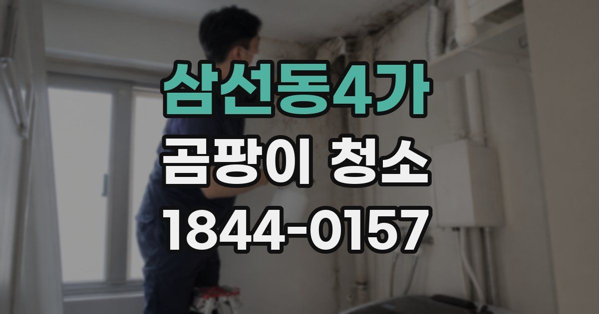 삼선동4가 곰팡이 청소