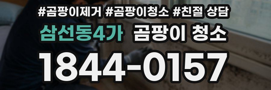 삼선동4가 곰팡이 청소