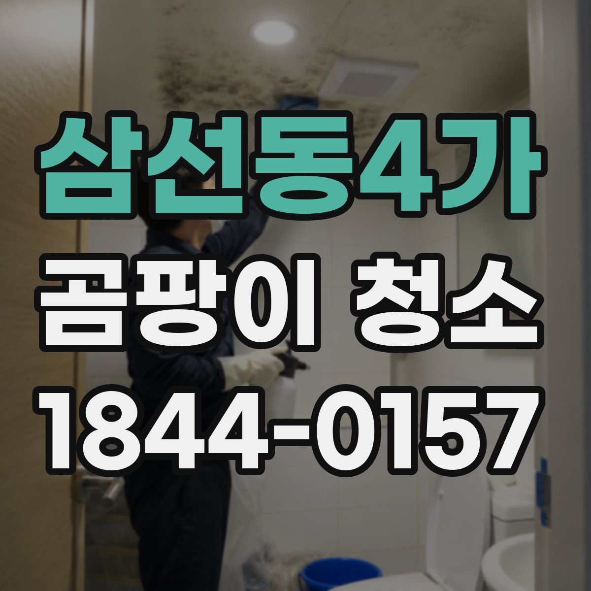 삼선동4가 곰팡이 청소