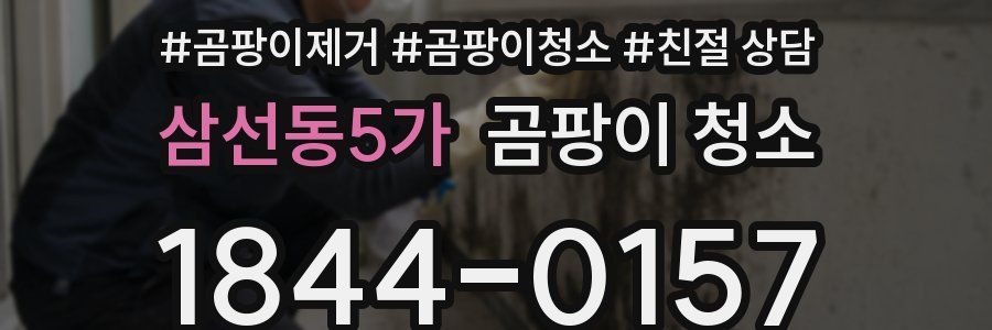 삼선동5가 곰팡이 청소