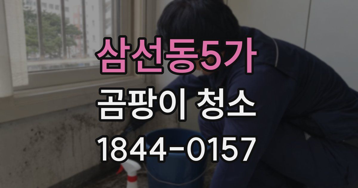 삼선동5가 곰팡이 청소