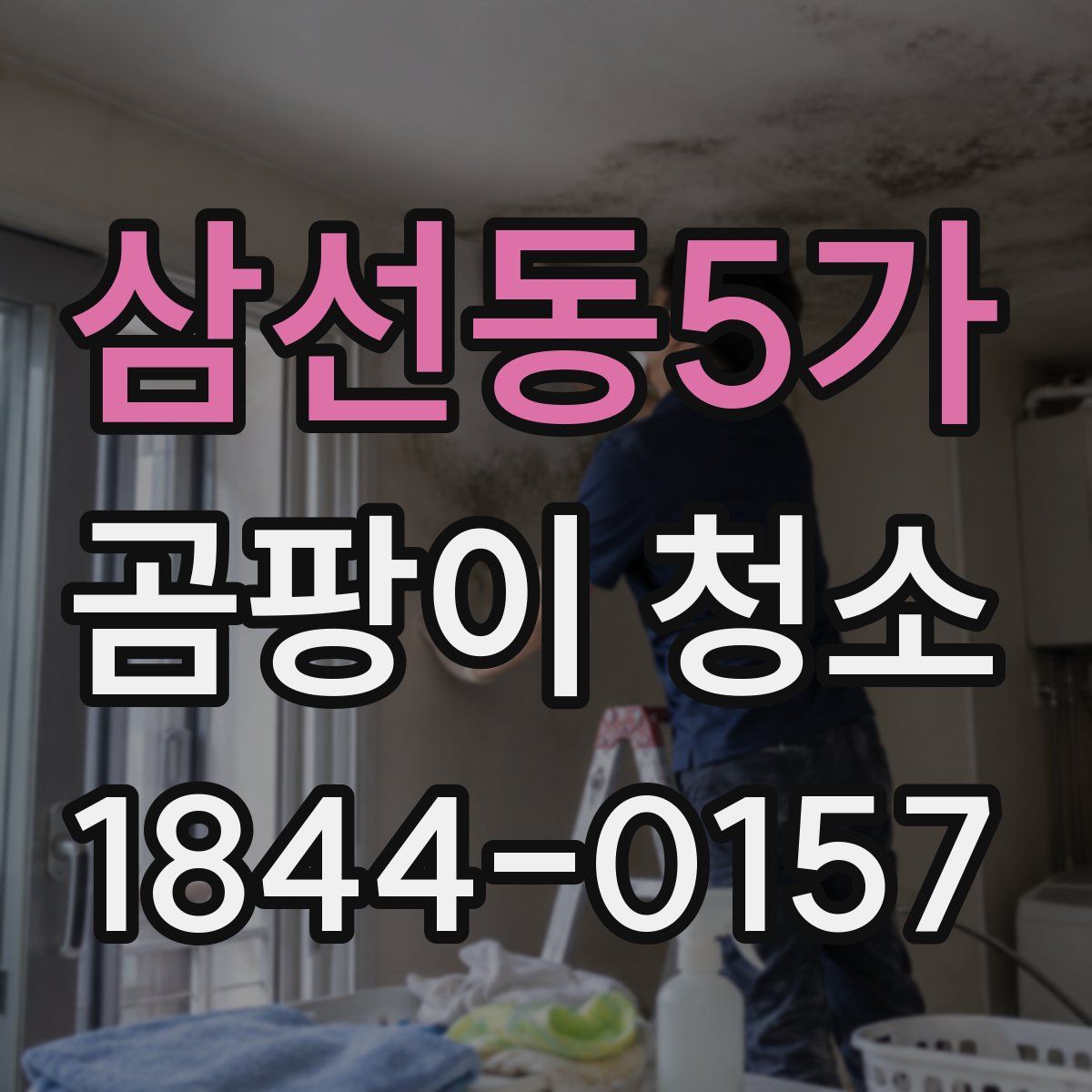 삼선동5가 곰팡이 청소