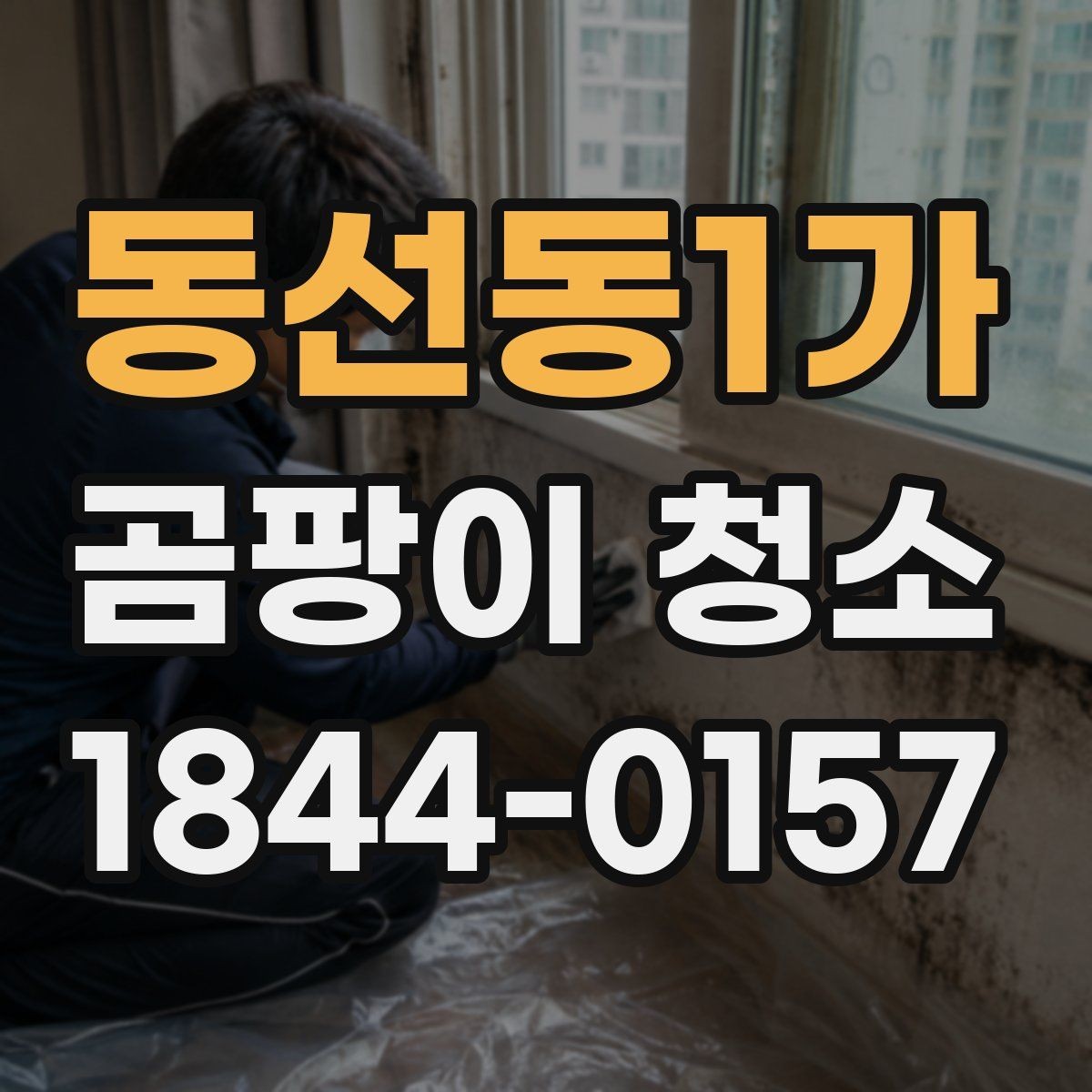 동선동1가 곰팡이 청소 작업 시 환기와 보호가 중요한 이유