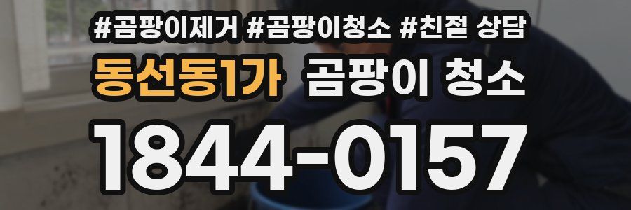 동선동1가 곰팡이 청소