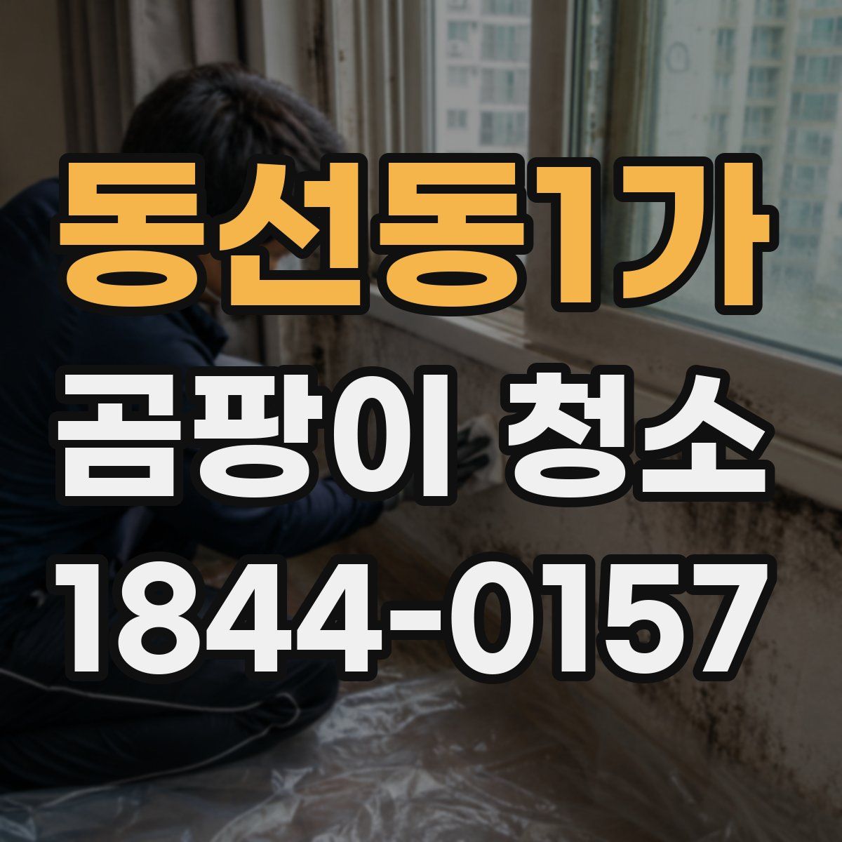 동선동1가 곰팡이 청소