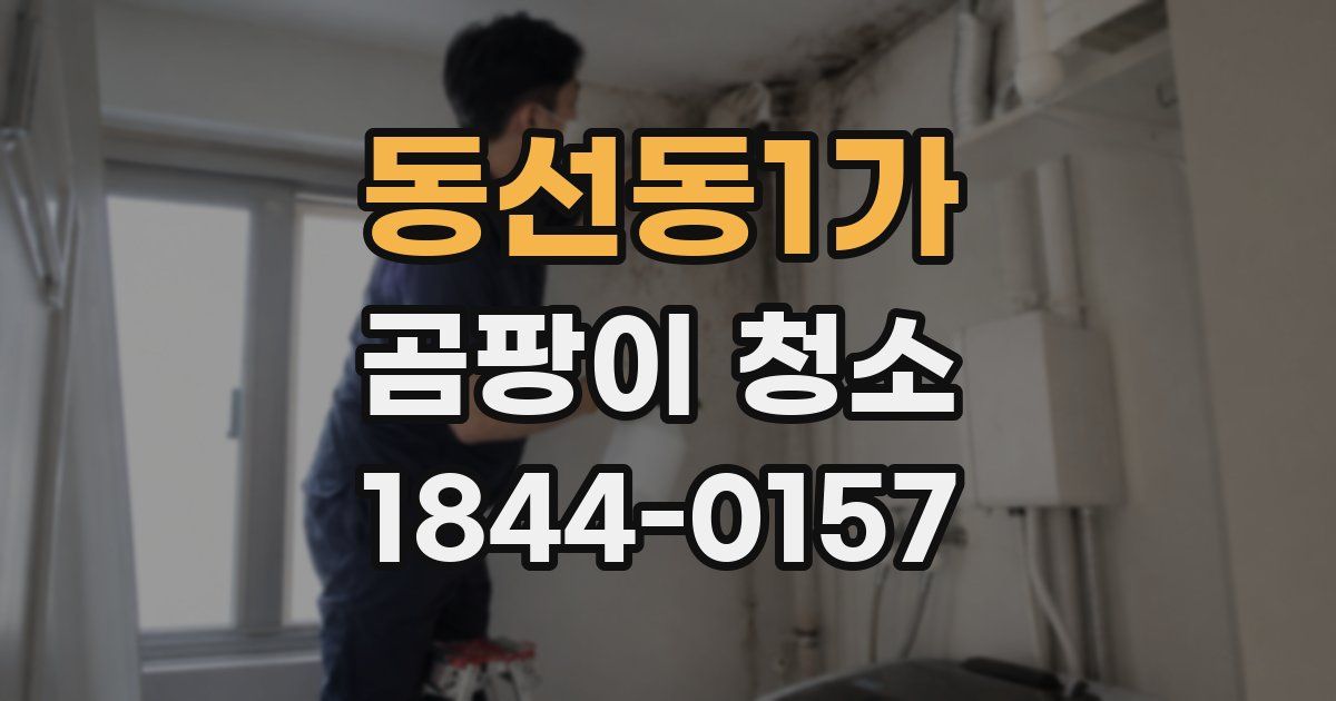 동선동1가 곰팡이 청소