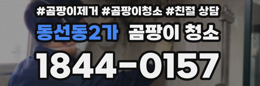 동선동2가 곰팡이 청소