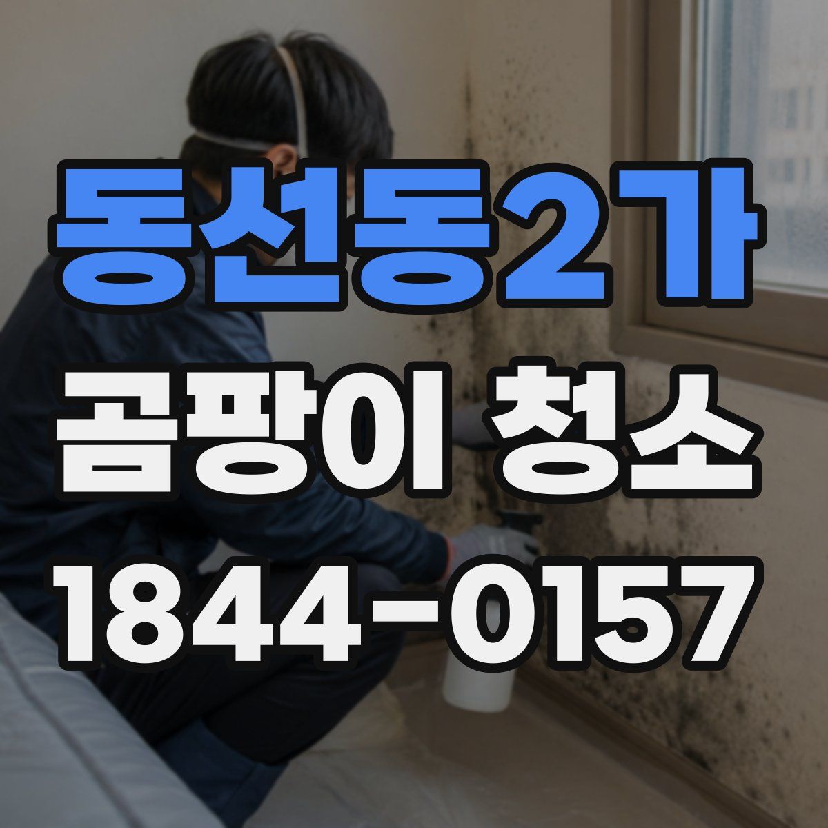 동선동2가 곰팡이 청소