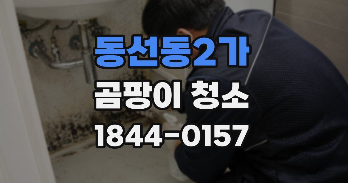 동선동2가 곰팡이 청소