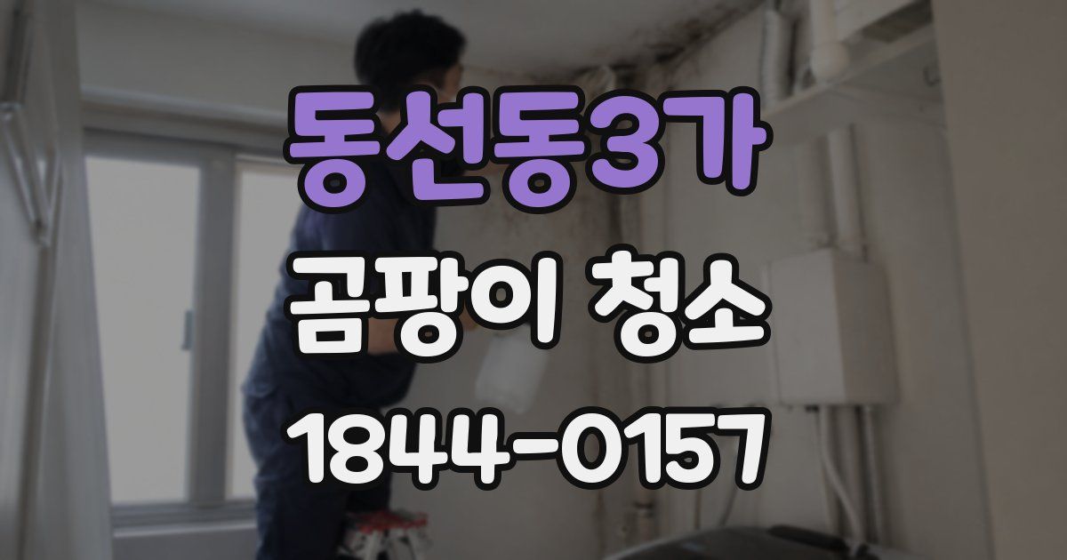 동선동3가 곰팡이 청소