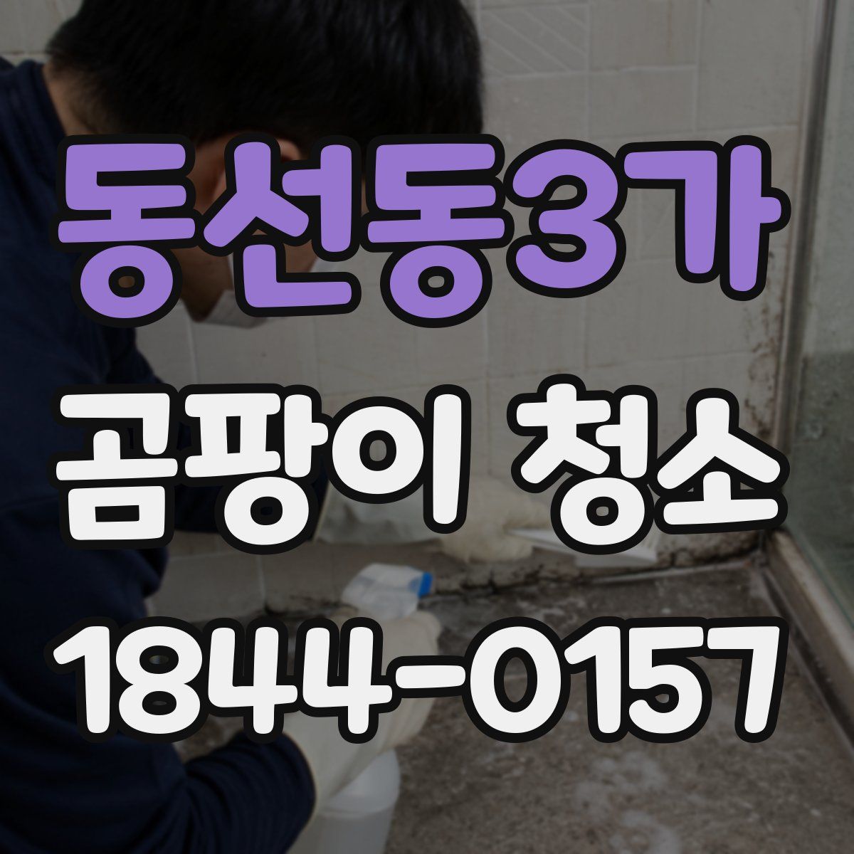 동선동3가 곰팡이 청소