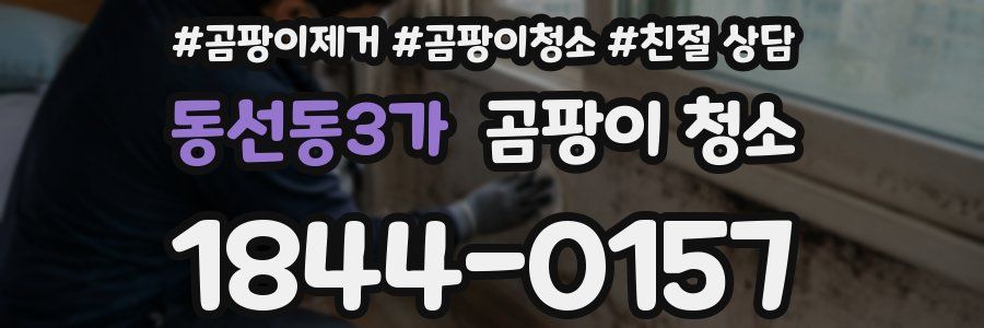 동선동3가 곰팡이 청소