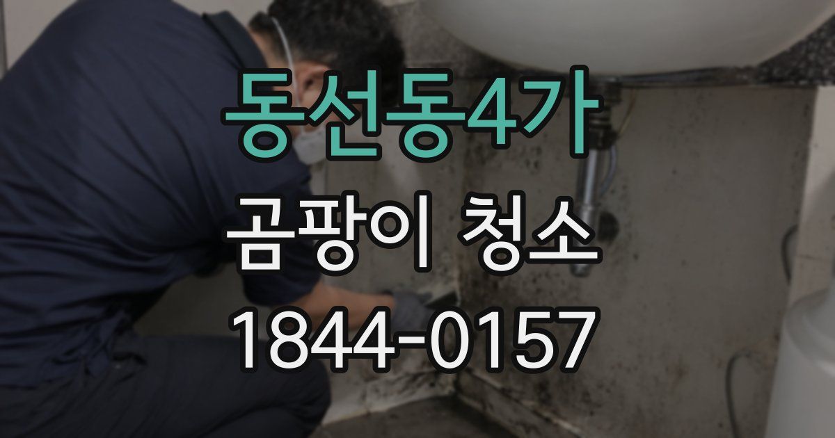 동선동4가 곰팡이 청소