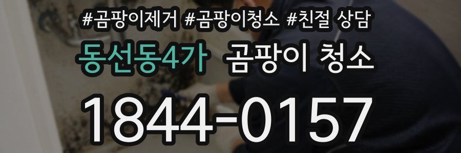 동선동4가 곰팡이 청소