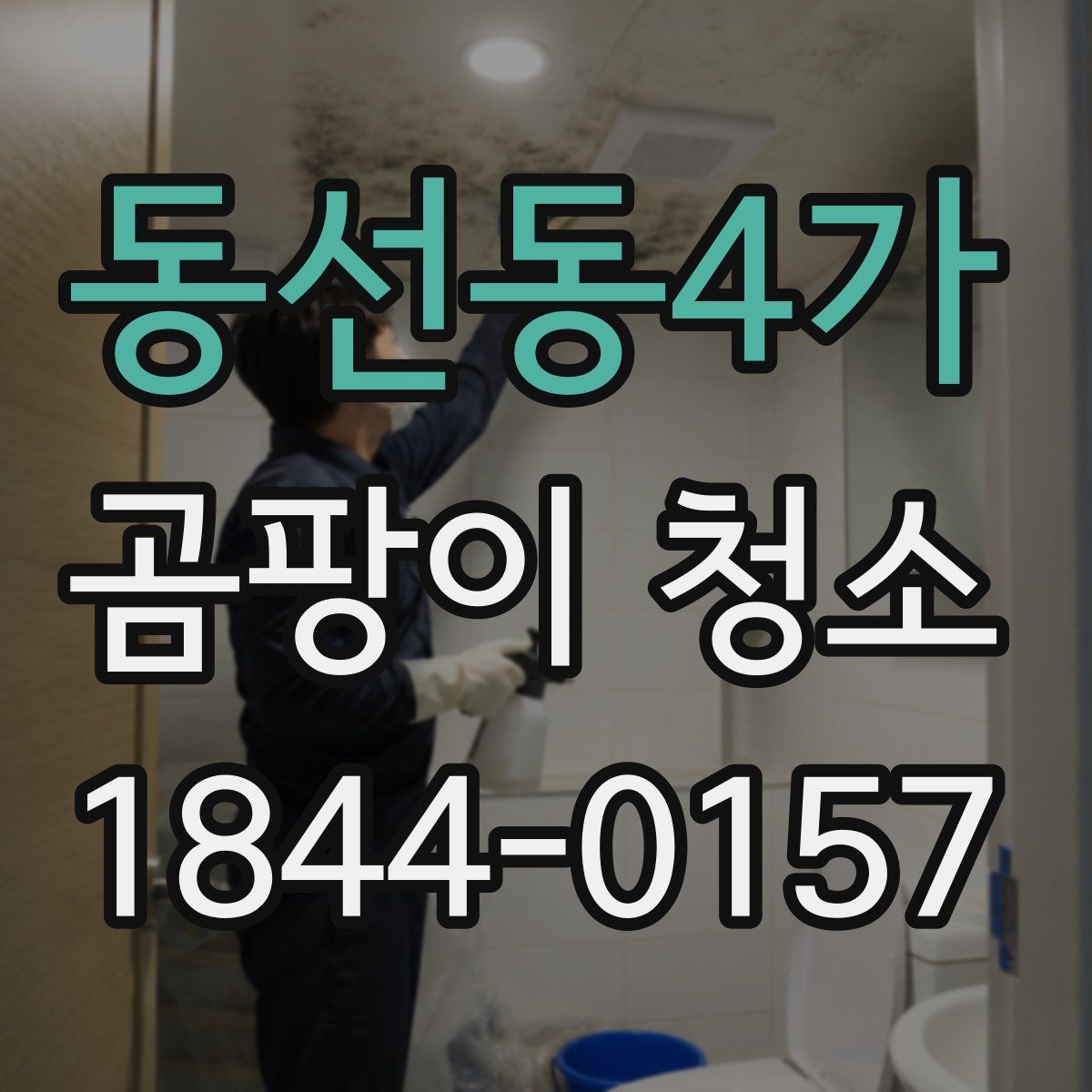 동선동4가 곰팡이 청소